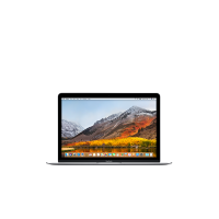 MacBook 12in 1.2G 256G 