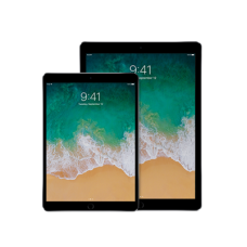 iPad Pro 12.9in 256G Dual